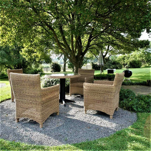 Outdoor Dining room Furniture 4-seater Set ( Roundish Design ) freeshipping - PATIO GURU SHOP